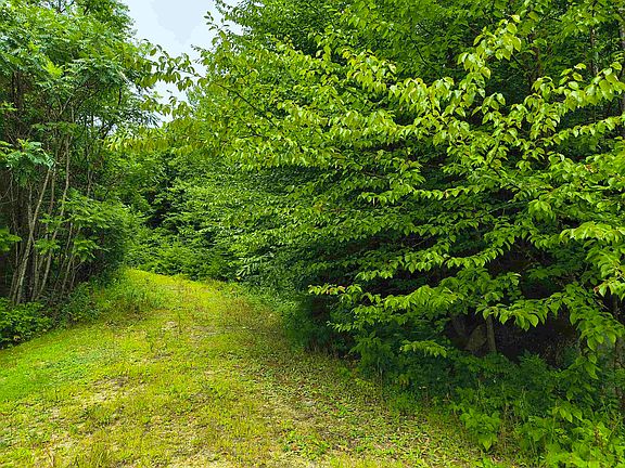 3rd image of Lot #5 Cilley Brook Lane #5