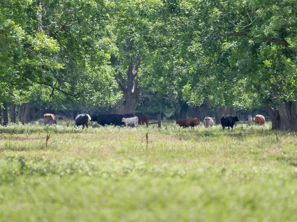 2640 County Road 107, Boling, TX 77420