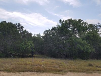 241 Elm Tree Cir, Spring Branch, TX, 78070