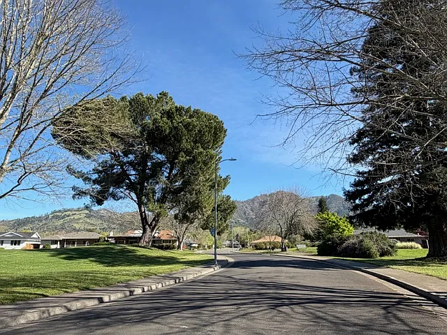 339 Twin Lakes Dr — Photo 12