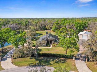 8403 Southwood Pines St, Lithia, FL 33547