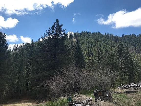 The northern end of the property looking at a hill to the east of the property.   