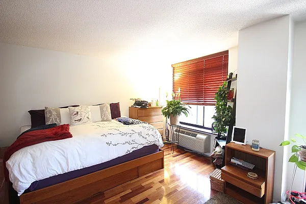 Studio, 700 sqft, $2,700 — Photo 2