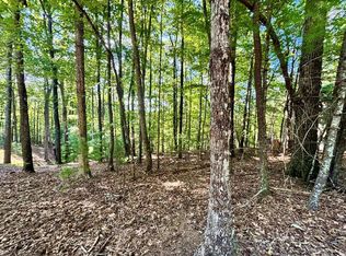 0.55 Pine Ridge Rd, Ellijay, GA 30536