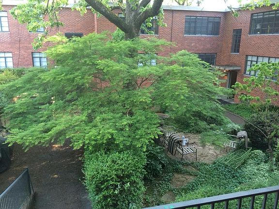 2nd image of 3603 Kavanaugh Blvd APT A11