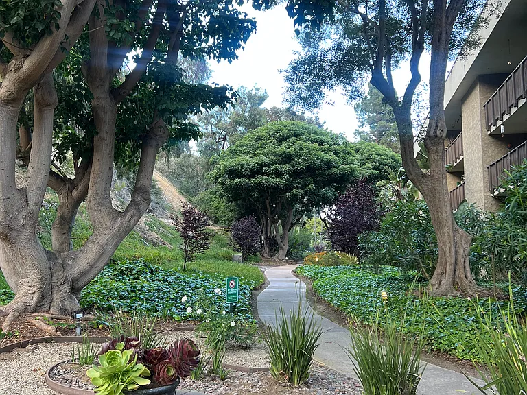 walkway to pool
