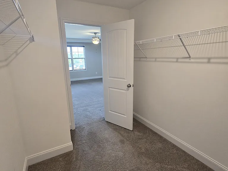 485 Shelton Beard Rd — Photo 50