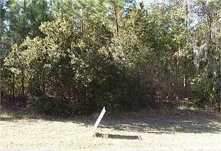 3rd image of 164 Palmera Ln