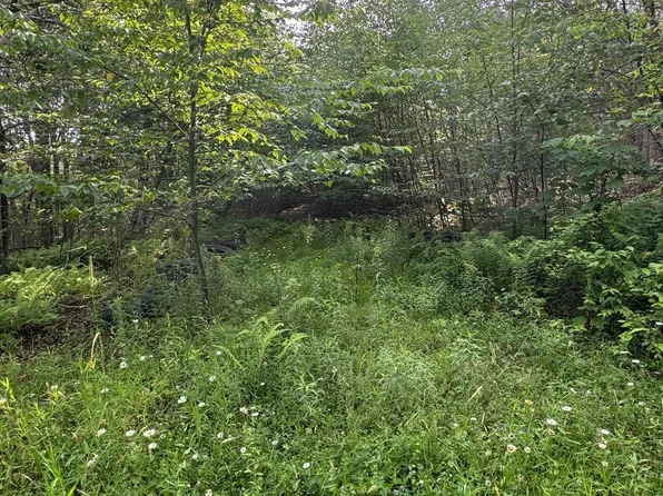 264 E Bosket Rd, Windsor, NY 13865