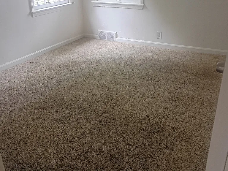 183 Higgins St #1 — Photo 11