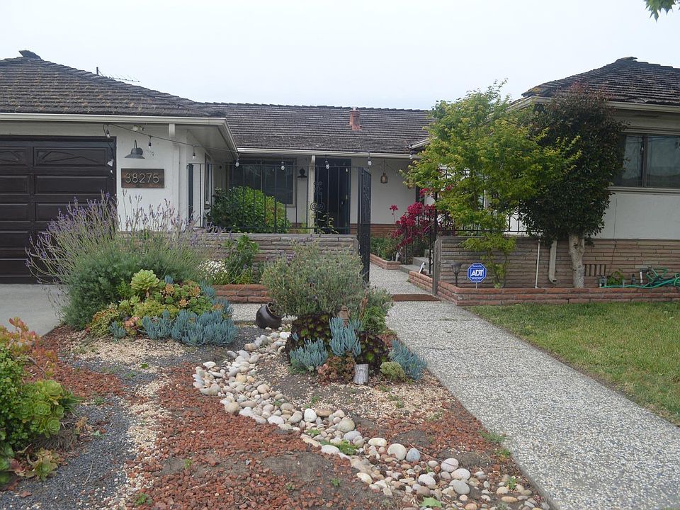 Single level with 5 bedrooms.