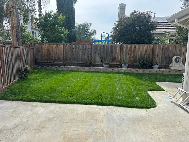 Side rear yard area