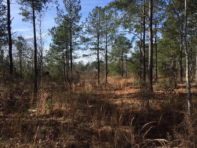 1st image of 0 Confederate Rd