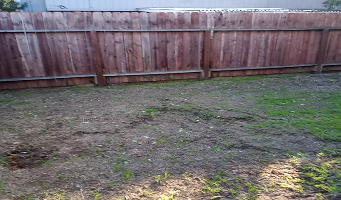 7798 Chancery Ct — Photo 32