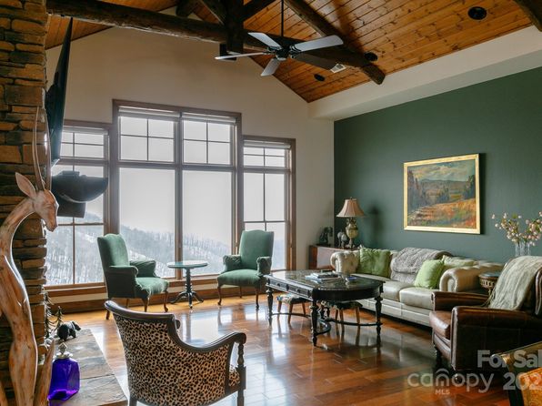 224 Logging Horse Rd, Burnsville, NC 28714