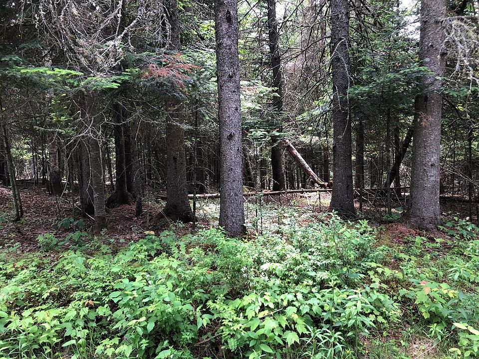 2nd image of LOT 4 Mountain Top Dr
