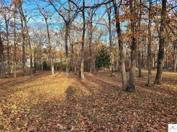 Falling Rock Ave, Warsaw, MO 65355