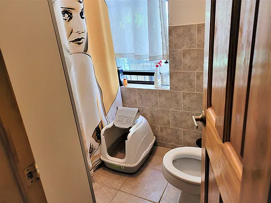 Rented by Virtual Real Estate | media 29