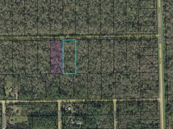 3681 Apple Ave, Bunnell, FL 32110