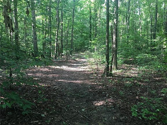 5th image of 01 Old Highway 411