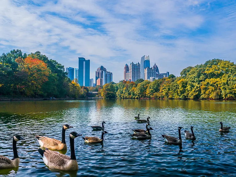 Our community is two miles from Piedmont Park.
