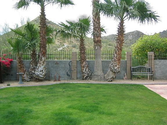 Backyard with new block wall to the preserve
