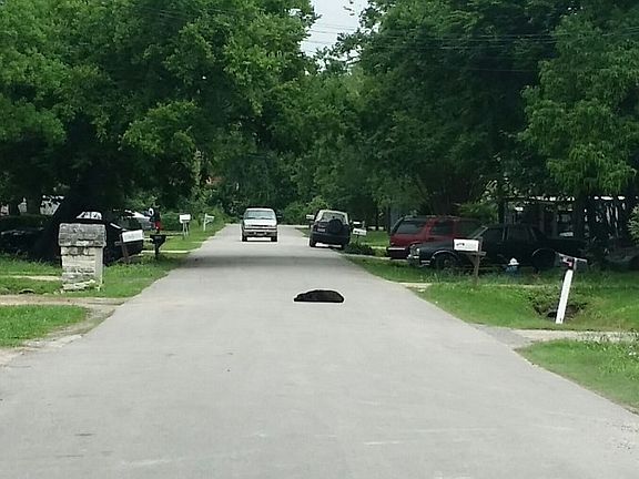 5th image of 7614 Teesdale Dr