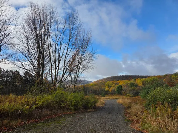 774 Owego Hill Rd #2, Marathon, NY 13803