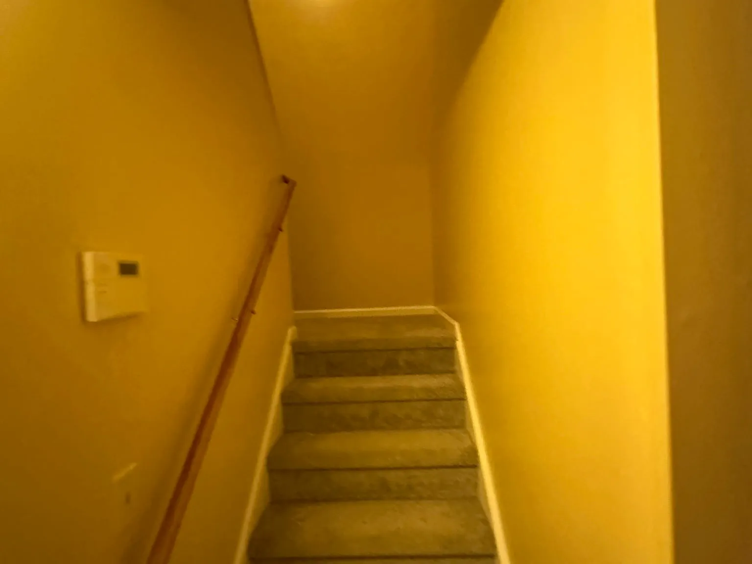 3 bed, 1.5 bath, $3,000 — Photo 3