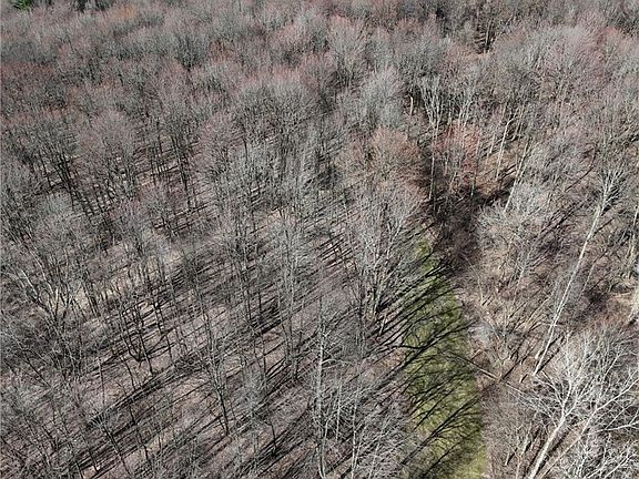 4th image of Bell Rd