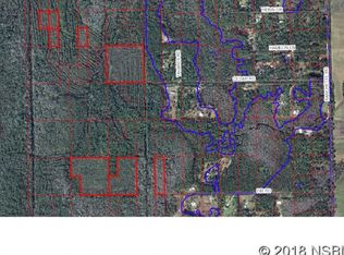 Ranchette Rd, New Smyrna Beach, FL 32168