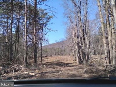 Critton Owl Hollow Rd, Slanesville, WV, 25444