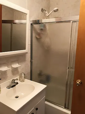 Rented by Metroline Realty | media 10