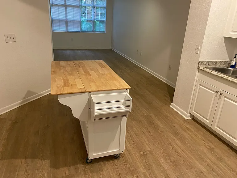 2411 W Horatio St #518 — Photo 6
