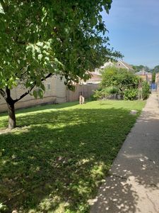 3322 S Carpenter St, Chicago, IL, 60608