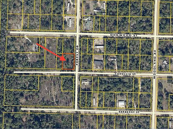 2nd image of 17603 Forest Dr