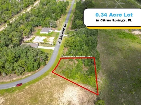 1439 W Skyline Dr, Citrus Springs, FL 34434