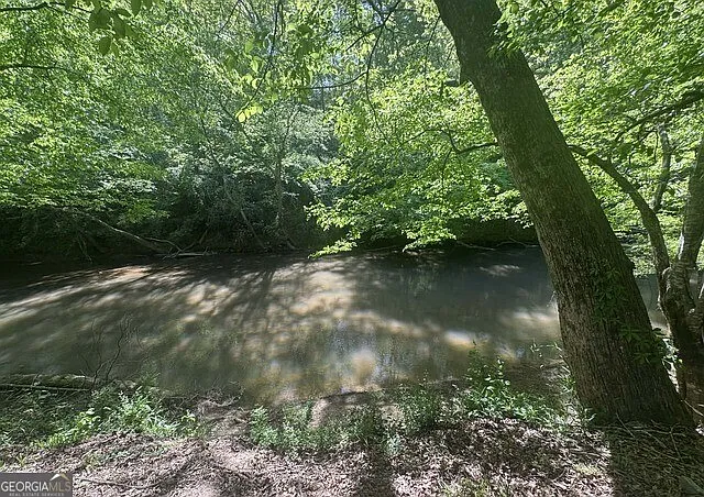 597 Meadow Brook Ln — Photo 33