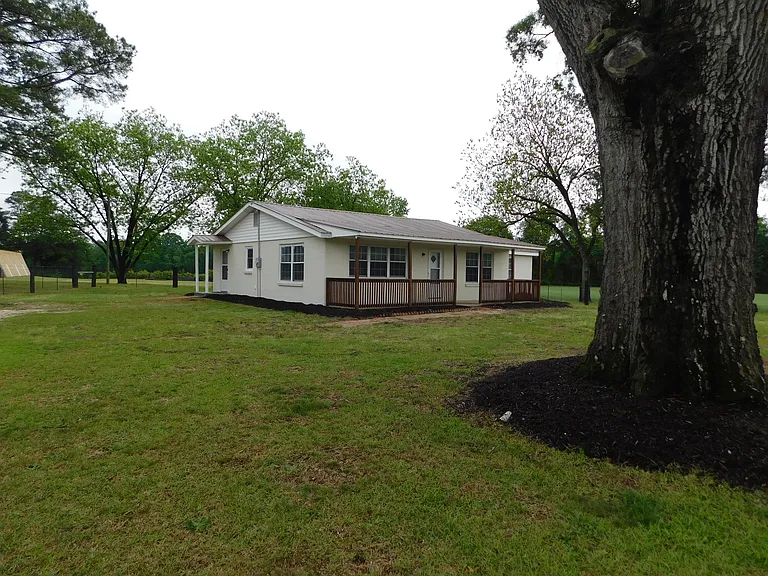 529 Old Mount Olive Hwy — Photo 2