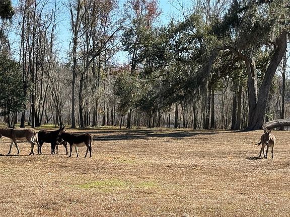 2nd image of 37214 Hester Rd