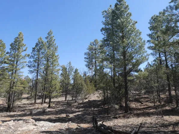 4650 Twin Oaks Loop, Happy Jack, AZ 86024