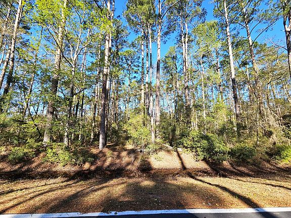 5th image of 0 Piney Bluff Rd Lot 1