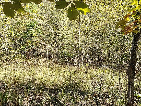5th image of 349 Ravenwood Loop #1415