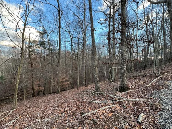 403 Crown Ct, Ellijay, GA 30540