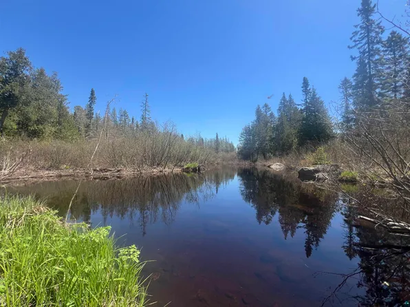 Xxx Moose Ridge Rd, Isabella, MN 55607