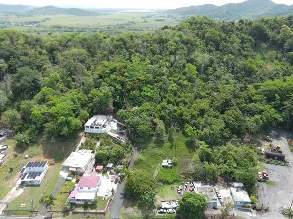 Bo Collores Sec Pitahaya Carr 924 Km #4.7, Humacao, PR 00791