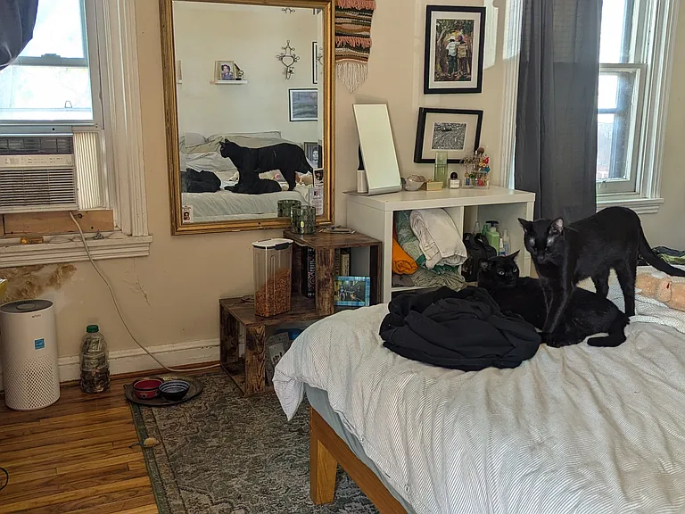 29 N Wiota St — Photo 17