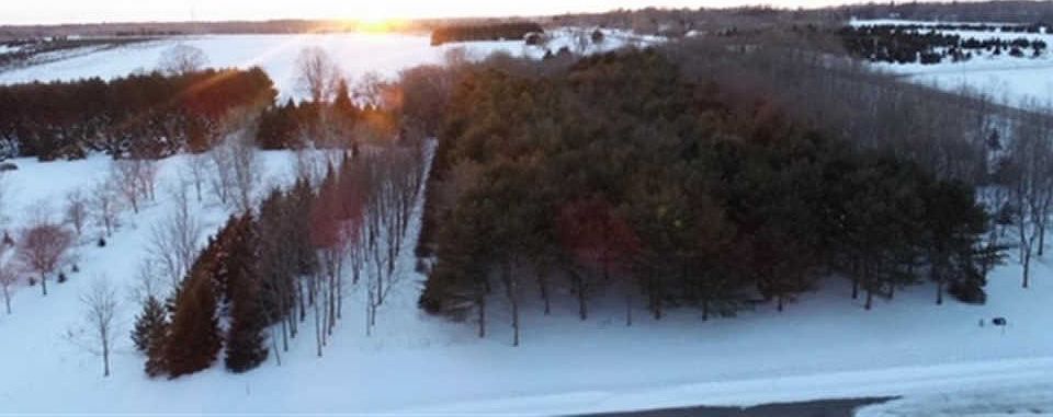 2nd image of 3883 Trappers Bend Ct