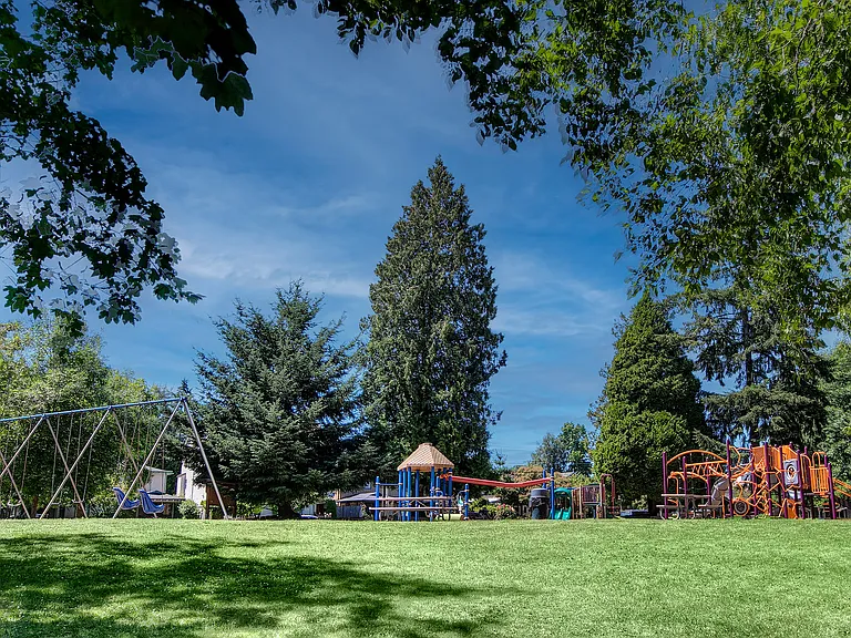 Licton Springs Park.