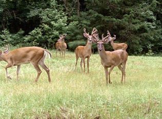 706 SW Rasberry Ct, Fort White, FL 32038